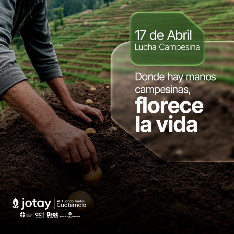 Instagram post from jotay_guatemala. This post is in position 3.